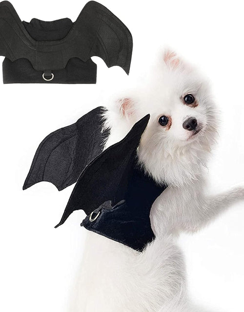 Load image into Gallery viewer, Dog Halloween Costume - Halloween Bat Wings Pet Costumes for Dogs Cats Halloween Party Medium
